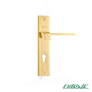 دستگیره پلاک سوئیچی طلایی 8000 کاوه صنعت