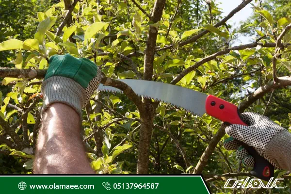 اره باغبانی