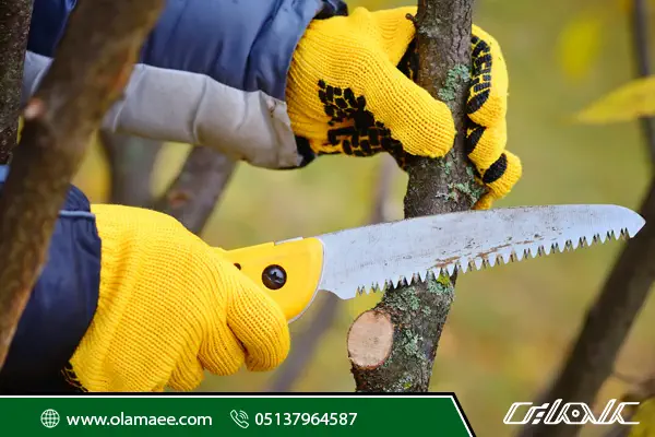 راهنمای خرید اره باغبانی