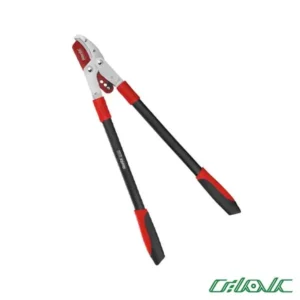 شاخه-زن-رونیکس-3122